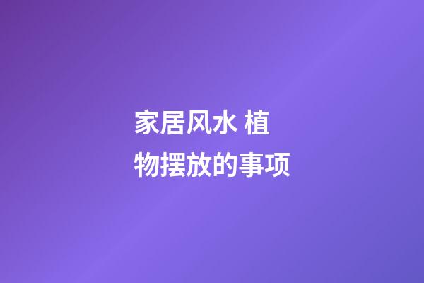 家居风水 植物摆放的事项